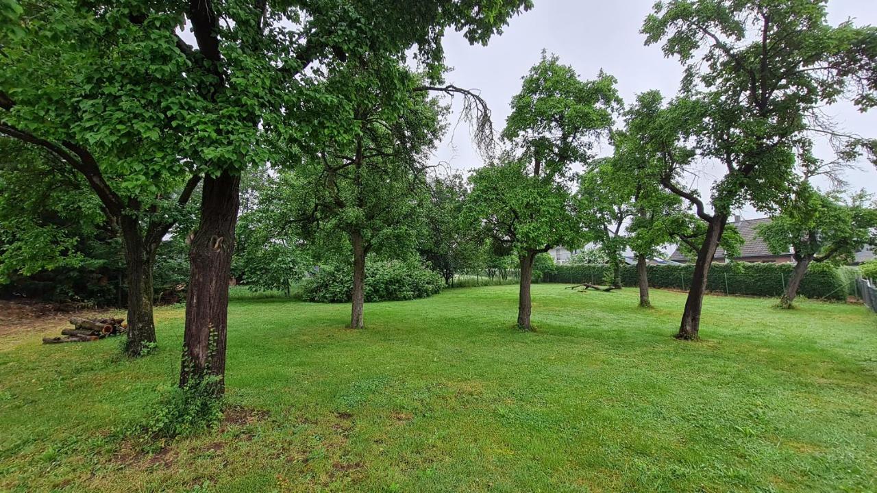 Eifelhof Mit Obstbaumwiese نيدغن المظهر الخارجي الصورة