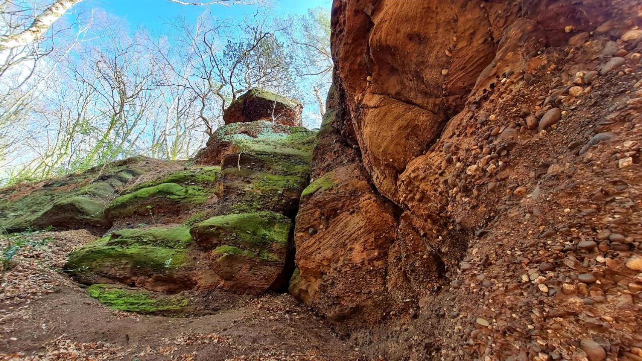 Eifelhof Mit Obstbaumwiese نيدغن المظهر الخارجي الصورة
