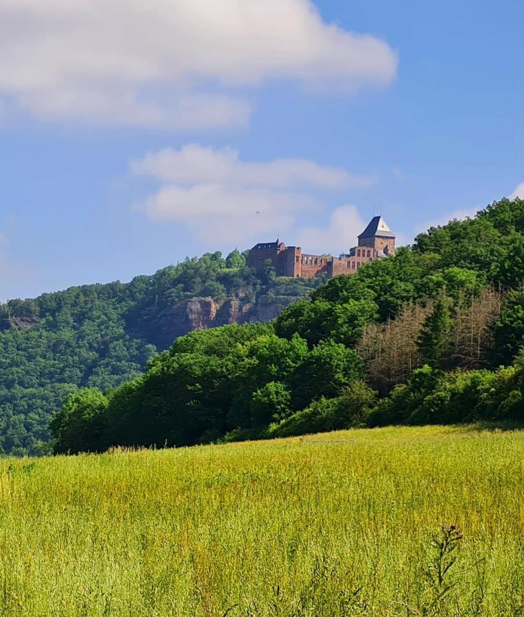 Eifelhof Mit Obstbaumwiese نيدغن المظهر الخارجي الصورة