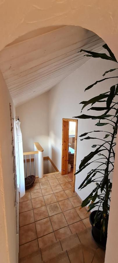 Eifelhof Mit Obstbaumwiese نيدغن المظهر الخارجي الصورة